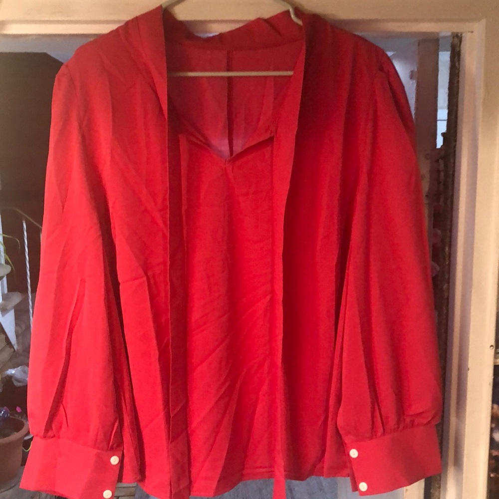 Plus size Shein Curve lightweight pink blouse